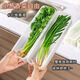 Home KATEI STORY Japanese antibacterial onion crisper drain food grade long coriander green onion ginger garlic refrigerator storage box onion segment box