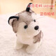 Strange chien en peluche chien chien husky poupée de jouet de jouet de simulation Erha Doll dormant avec cadeau d'anniversaire q version simulation husky poupée 20cm [smooth peluche 丨 adapté à la peau et délicate]