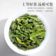 萃隐【5A特级铁观音】正宗安溪铁观音茶叶浓香型高山乌龙茶兰花香罐装 500g