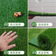 Engineering fence lawn cloth artificial simulated fake turf paving green mesh plastic carpet outdoor decoration green fence 1.0 adhesive army green 2mx5m