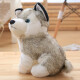 Strange chien en peluche chien chien husky poupée de jouet de jouet de simulation Erha Doll dormant avec cadeau d'anniversaire q version simulation husky poupée 20cm [smooth peluche 丨 adapté à la peau et délicate]