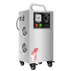 Maple ozone generator 15G ozone disinfection machine ozone machine food factory workshop cold storage warehouse farm sterilization items water treatment
