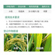 Bonsec 6% kasugamycin fruit tree rice blast biopesticide broad spectrum fungicide