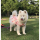宠物大狗衣服中大型犬透气防掉毛防晒网纱萨摩金毛夏季薄款背心裙 爱心小兔(不退不换) 110码(胸围9756-70斤左右)