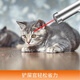 Spirit Pet Talk Funny Cat Laser Pen Cat Toy Funny Stick USB Charging Self-Happling Funny Cat Toy Pet Infrared Laser Light