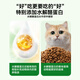 Newbeijian Cat Intestinal Prescription Food Cat Conditioning Soft and Loose Stools and Diarrhea for Adult and Kittens Full Price Prescription Cat Food