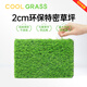 COOLGRASS Rooftop Simulated Artificial Lawn Insulated Sunshade Sunscreen Silencer Sun Room Roof Terrace Outdoor Fake Lawn Carpet 2cm Specially Densified Beautiful Flame Retardant Rooftop Terrace