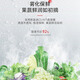 
Toshiba (TOSHIBA) 626-liter fully embedded French four-door refrigerator for household frequency conversion air-cooling frost-free first-level energy efficiency, atomization, preservation, negative oxygen and sterilization, rapid ice making GR-RF688WI-PG1B6 Hibiscus apricot