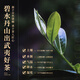 Yanyu Zhengshantang Wuyi Rock Tea, Mélange spécial Mixiang Cinnamon + Thé Set Crane Scissor Scissor, buvez des feuilles de thé par vous-même, Oolong Tea, Big Crane Scissor + Mixiang Cinnamon 8G * 1 Pack Combination
