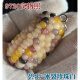 DL 1998 Pangdonglai Calidad Arts and Play Corn Many Parts [Bloody Gem] Bodhi Mini Car Hanging Jade-Craft Yuzhu Artista 9719