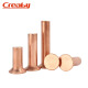 Cheeby Copper Countsunk Head Rivet Solid Rivet GB869 Cabezal de cono plano Cabezal sólido Cobre Cobre sujetadores M3x5 [50 piezas]