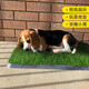 Qingya pet lawn toilet special fake turf home balcony simulation bedding dog pee artificial carpet floor mat 3cm spring grass high quality upgrade 1 meter wide 1 meter long