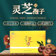 金贵灵芝孢子粉1g*100袋独立包装取食方便礼盒装送礼 灵芝孢子粉小包装冲水 2盒装】金贵灵芝孢子粉1g*100袋