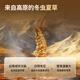 Tongrentang marca Cordyceps sinensis césped roto 50g cordyceps beijing tongrentang tonic tonic alto regalo de regalo del día del padre