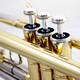 Xinghai trompeta pequeña b-flat tortuga de trompeta general instrumento musical XT-120