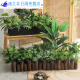 仿真绿植套装仿真花隔断植物装饰摆件花槽龟背叶花箱假花造景 e3895x20m五彩斑斓