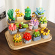 Fermi compatible LEGO children's assembly building blocks toys potted ornaments for boys and girls birthday gifts succulent-meat cone S2281