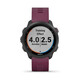 GARMIN Forerunner 245 Sports Watch Pulse Blood Oxygen Smart Heart Rate Outdoor GPS Running Training Watch Mysterious Gray-Regular Edition