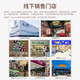 Wenno史前仿真恐龙玩具霸王龙玩具大号恐龙模型儿童恐龙认知过家家玩具 三角龙(Triceratops)
