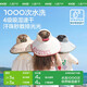 kocotreekk树儿童防晒帽防紫外线宝宝遮阳帽夏季男童女童太阳帽沙滩大帽檐
