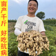 Peanut seed original seed Academy of Agricultural Sciences new variety high-yielding peanut seed 1,000 Jin Jin equals 0.5 kg Wang National Suitable Flower Breeding 60 Large Fruit 1,000 Jin Jin equals 0.5 kg King Peanut Original Seed with Shell 1500g