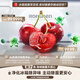 Rongsheng WILL Fresh 511L French-style multi-door refrigerator dual-system ultra-thin embedded automatic ice-making first-class energy efficiency frost-free large capacity BCD-511W60FZNAD national subsidy