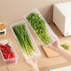 Home KATEI STORY Japanese antibacterial onion crisper drain food grade long coriander green onion ginger garlic refrigerator storage box onion segment box