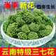 【黑色星期五】2024年新三七花正品云南文山精选特 精选三七花[高品质]500克