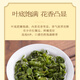 轩中鹤【铁观音】安溪铁观音乌龙茶花香浓郁自己喝送长辈 铁观音5g*1袋【亏本试喝】