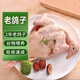 Dufeng Old Pigeon 700G (всего 2) ингредиенты супа старого голубя замороженные свежие голубь питательный подарок