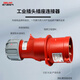 Delixi Electric DEP2S Aviation Stecker Männliche und weibliche Docking Explosionssicherer Industriebuchse 3 Kern 5 Loch Wasserdicht 220 V DEP2S-12532A5 CORE 415V Industrial