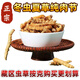 [Authentische Cordyceps] Big gebrochenes Gras authentisch Cordyceps gebrochenes Gras Cordyceps gebrochenes Grasfrüchte Cordyceps gebrochenes Gras selbst zu essen tonisch Cordyceps gebrochenes Gras Tibeter Big gebrochenes Gras 10g