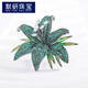 MOYAN style brooch, exquisite blooming lily brooch, diamond-encrusted, light luxury, versatile lapel pin, accessories, anti-exposure chest, gold and white B02-101