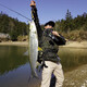 
Dayiwa (DAIWA)ZILLION Zilong competitive lure rod competition lure fishing long throw bass fishing fine fishing general insect system 2.03m Kawamura 682/MLFS (medium soft straight handle)