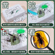 Jingjia Excavación arqueológica para niños Toy Fósil Fósiles Amber Insecto Elf Caja ciega Boy y niña Gema Hecha Gema Tesoro Aleatorio 2 Cajas de Insectos Cristal Arqueología Enviar Lanyard Random