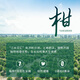 Chinese tea Pu'er tea Xiaoqingganxinyan, wish Xiaoqingganxinhui Qinggan 125g canned gift bag