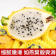 优味集【JD顺丰包邮】海南燕窝果熟麒麟果孕妇生鲜黄色火龙果送礼好果 1050g净重装（颗颗精选） 商超级精选单果95g+