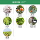 40% ethephon rubber tree rice mango banana fruit ripening agent pesticide plant growth regulator pesticide 100g