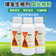 Guoguang Guoguang Genpan Indole Butyric Acid Naphthalene Acetic Acid Plant Rooting Agent Cuttings and Transplanted Flower Seedlings Explosive Rooting Liquid 200ml/Bottle