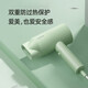 飞科电吹风机家用恒温负离子护发1800W大功率宿舍冷热风网红款 【恒温护发1800W】清新绿 FH6296