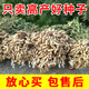 Shandong shelled original extra large peanut seeds, high yield, thin-skinned large fruit, 4 red seeds, 50 Jin Jin equals 0.5 kg, oil output