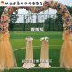 Nuevo arco de estilo europeo escena de la boda de la boda de la escena de la ventana de la apertura festival suministros de la puerta de seda de seda