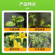 Zheng's Chemical 98% Sodium Nitrophenolate Powder Plant Growth Regulator Preserving Flower Fruit Pesticide Synergism and Growth Promotion 1kg 1kg