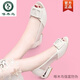 Woodpecker 2025 new summer versatile fish-mouthed women's sandals mesh low heel shallow mouth thick heel flat shoes black 39