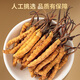 Lei Yun Shang Cordyceps Sinensis 3.2 Roots/G 30G Около 96 корней подарочную коробку на День отца, чтобы отправить подарки родителям и старейшин