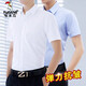 Woodpecker (TUCANO) Spring and Autumn New Long Sleeve Shirt Men's Thin No-Iron Wedding White Shirt Business Clothes Top Men's DX615 White [Long Style] XL [Suitable for 120-140Jin [Jin equals 0.5 kg]]
