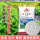 Stanley Stanley Compound Fertilizer Universal Vegetable Agricultural Flower Fertilizer Vegetable Planting Organic Fertilizer Green Plant Potted Nitrogen Phosphorus Potassium Chemical Fertilizer Instant Universal Compound Fertilizer 1Jin Jin is equal to 0.5 kg