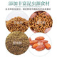Kaiyuan (KO) barreled full-price myna bird food, starling special feed bird food, pet bird nutrition, probiotic natural food 1000g 1 bottle/barrel