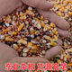 New pigeon food nutrition contains corn 10kg bird food homing pigeon white adult young pigeon ornamental pigeon corn-free pigeon food 20Jin Jin is equal to 0.5 kg