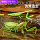 Shantoulin Village Пульт дистанционного управления Mantis Electric Toy Scrank Artifact Tockroach Boy движется к паукам